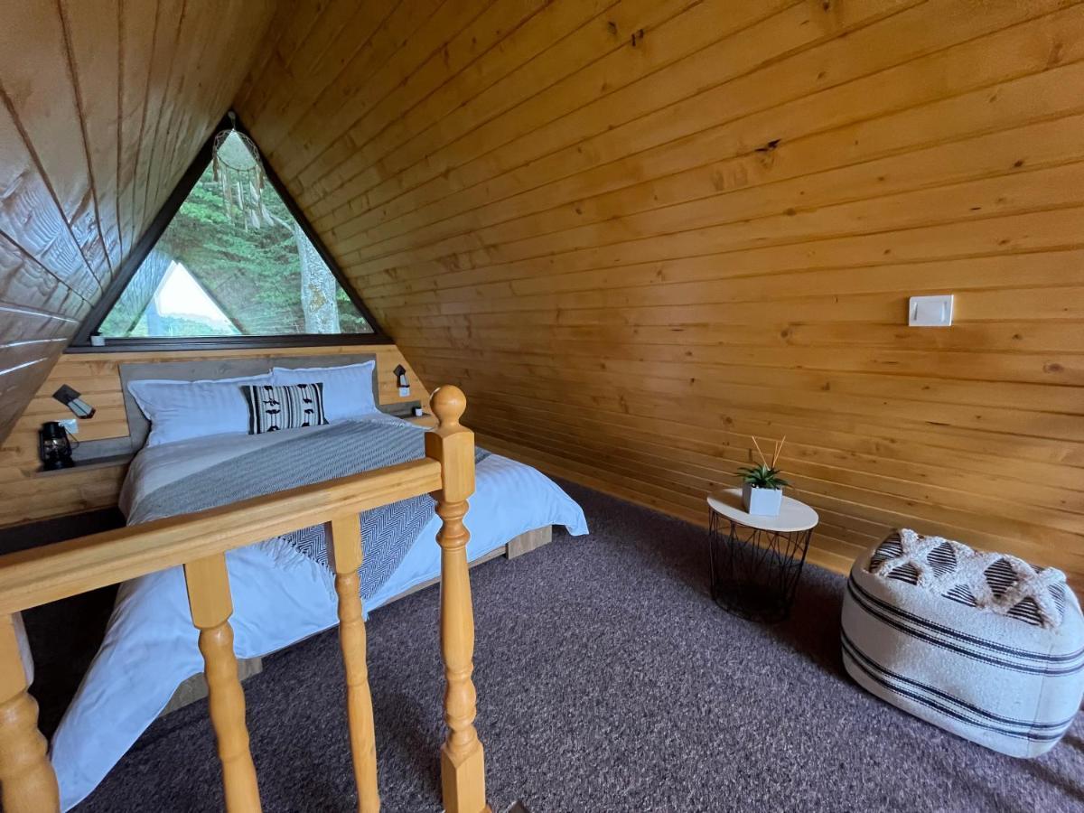 Casutele De Sub Padure Hotell Avrig Exteriör bild
