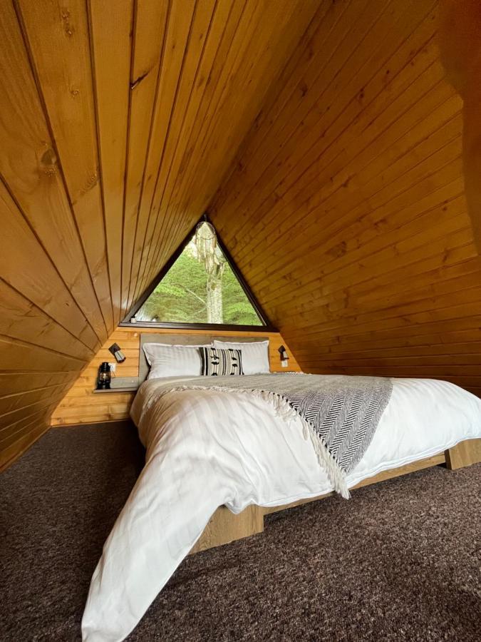Casutele De Sub Padure Hotell Avrig Exteriör bild