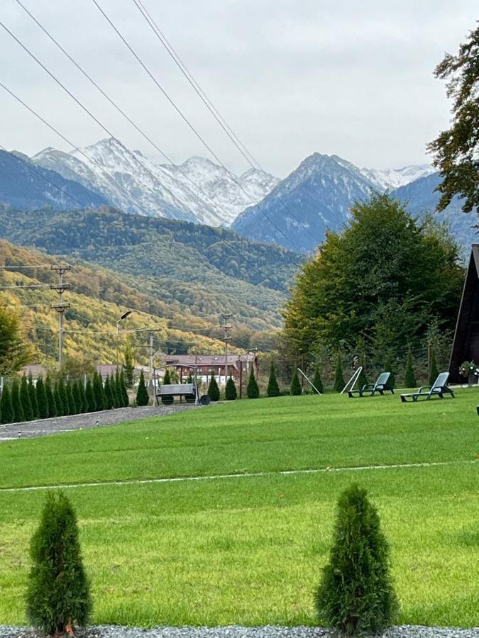 Casutele De Sub Padure Hotell Avrig Exteriör bild